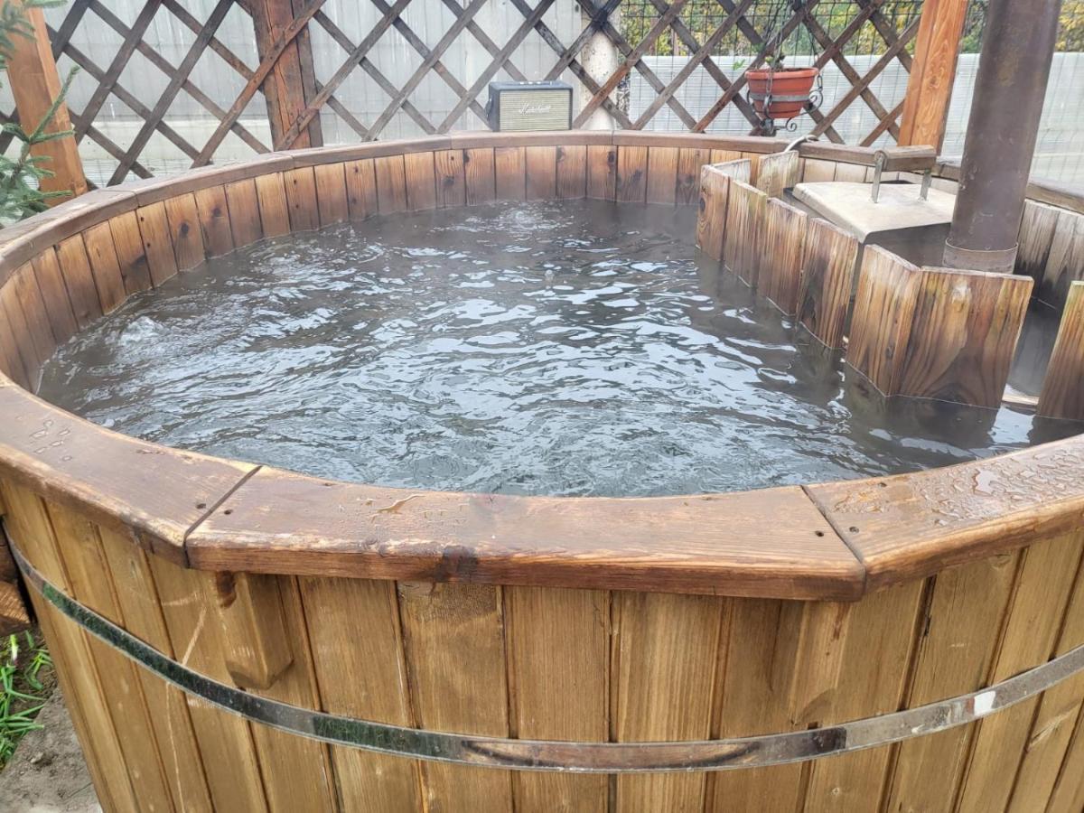 사투마레 Vila Ana Cu Terasa Gratar Si Jacuzzi 빌라 외부 사진