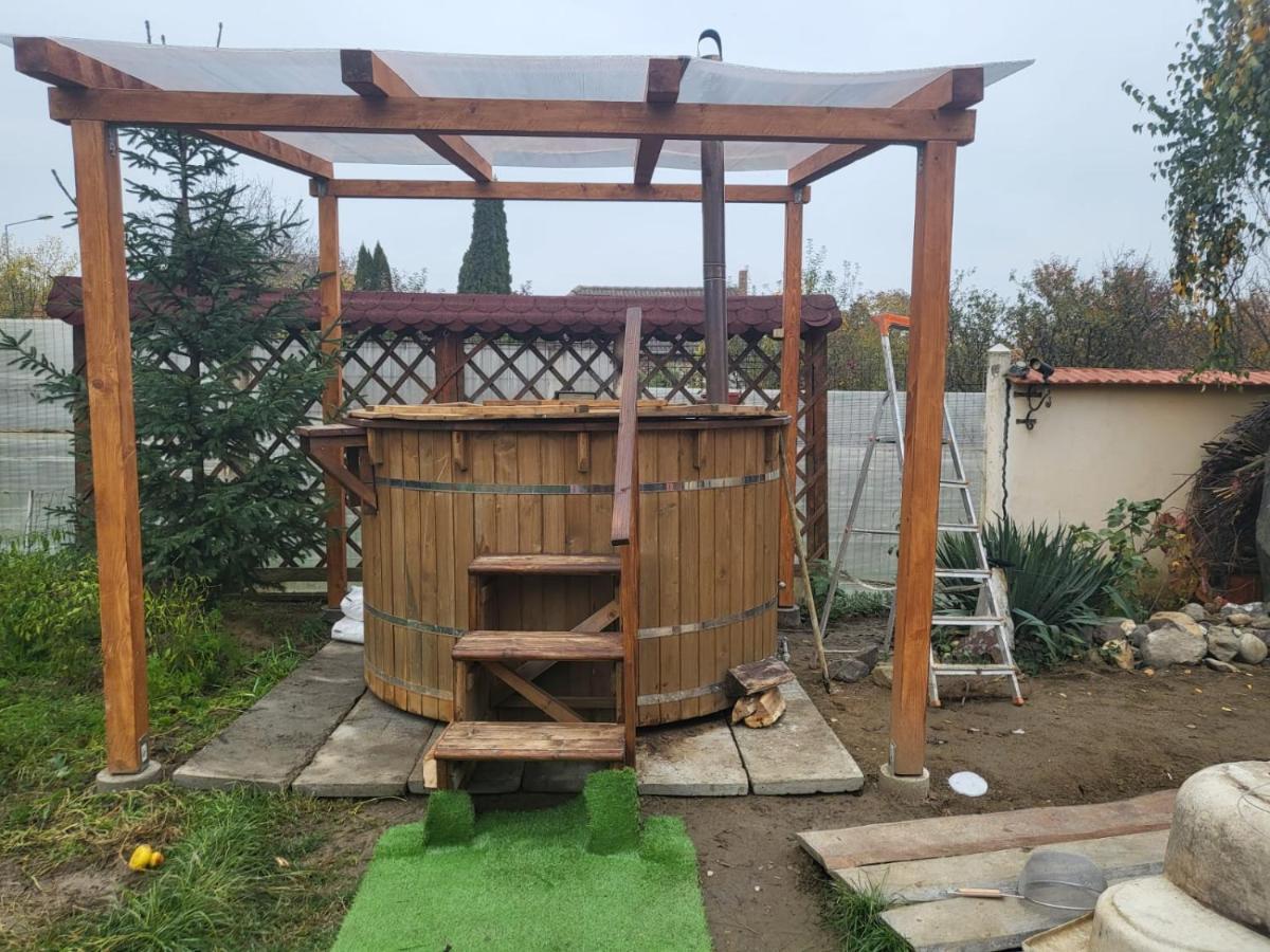 사투마레 Vila Ana Cu Terasa Gratar Si Jacuzzi 빌라 외부 사진