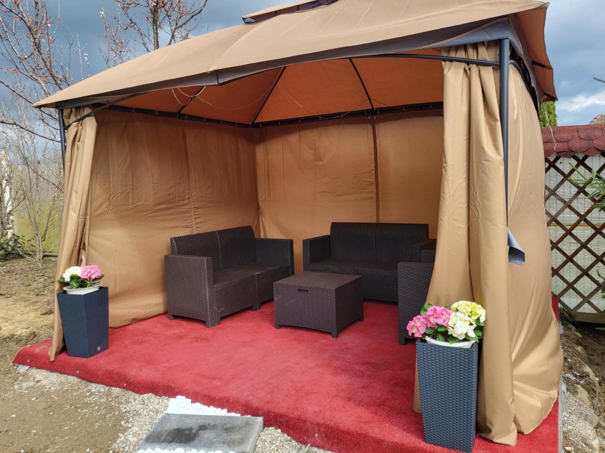 사투마레 Vila Ana Cu Terasa Gratar Si Jacuzzi 빌라 외부 사진